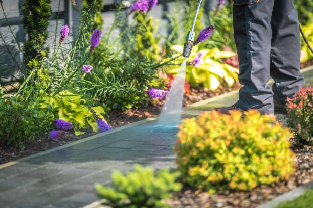 Best Gutter Cleaning  in New Lisbon, WI